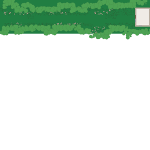 assets_item_title_Map_square