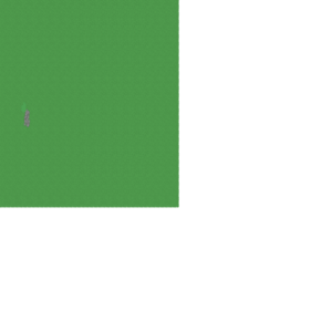 assets_item_title_Map_square