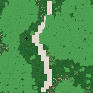 assets_item_title_Map_square