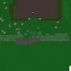 assets_item_title_Map_square