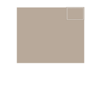 assets_item_title_Map_square