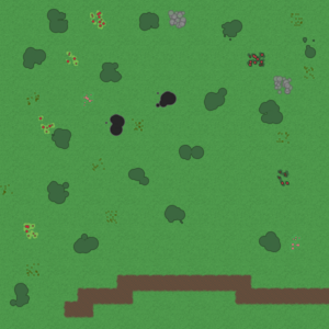 assets_item_title_Map_square