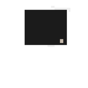 assets_item_title_Map_square