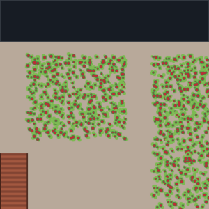 RPG map