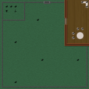 RPG map