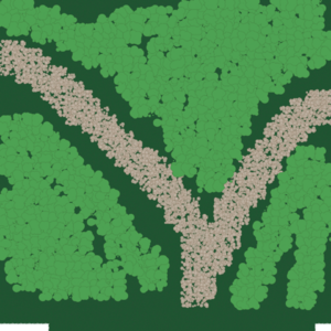 RPG map