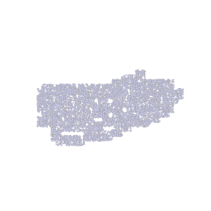 RPG map