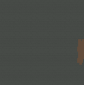 assets_item_title_Map_square