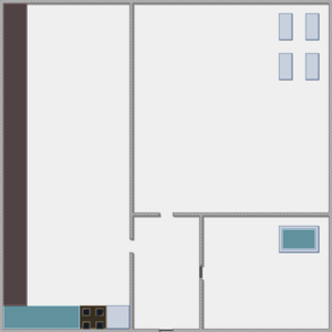 assets_item_title_Map_square
