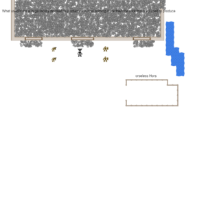 assets_item_title_Map_square