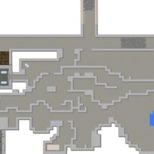 assets_item_title_Map_square