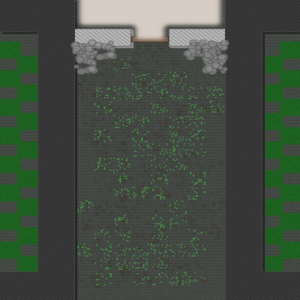 assets_item_title_Map_square