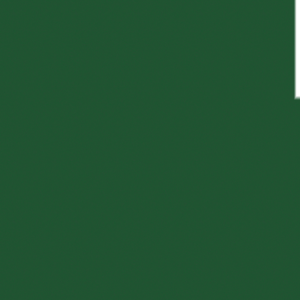 assets_item_title_Map_square