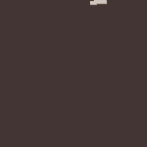 assets_item_title_Map_square
