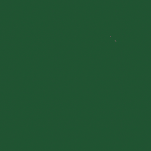 assets_item_title_Map_square