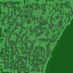 RPG map